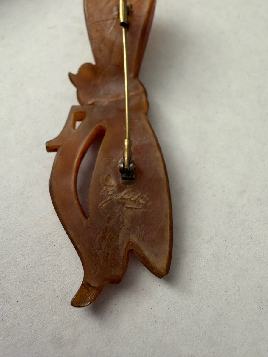 Libellule  corne blonde -photo-3