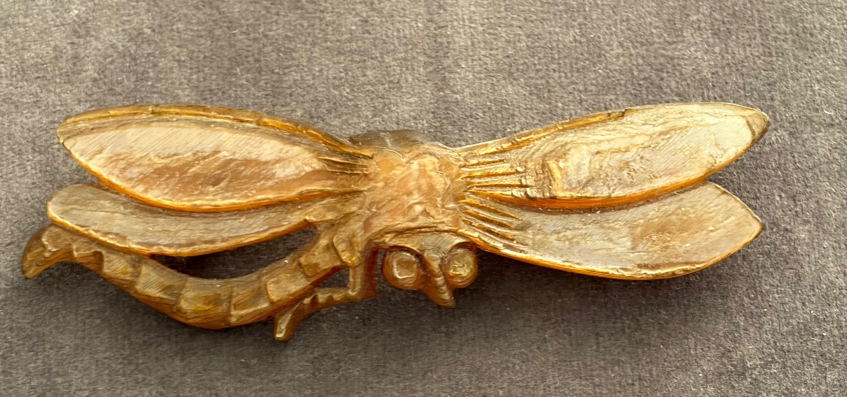 Libellule  corne blonde -photo-5