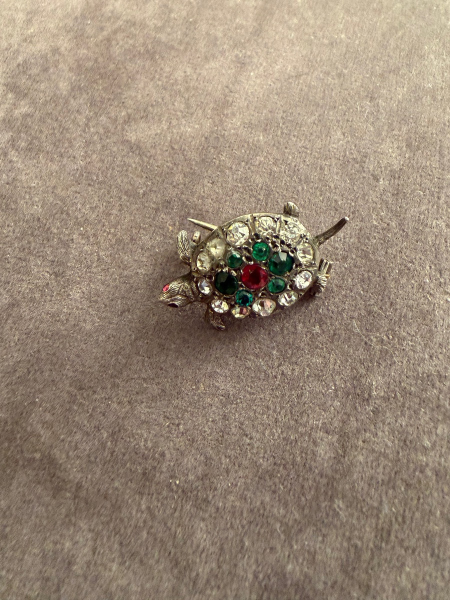 Tortue ancienne -photo-2