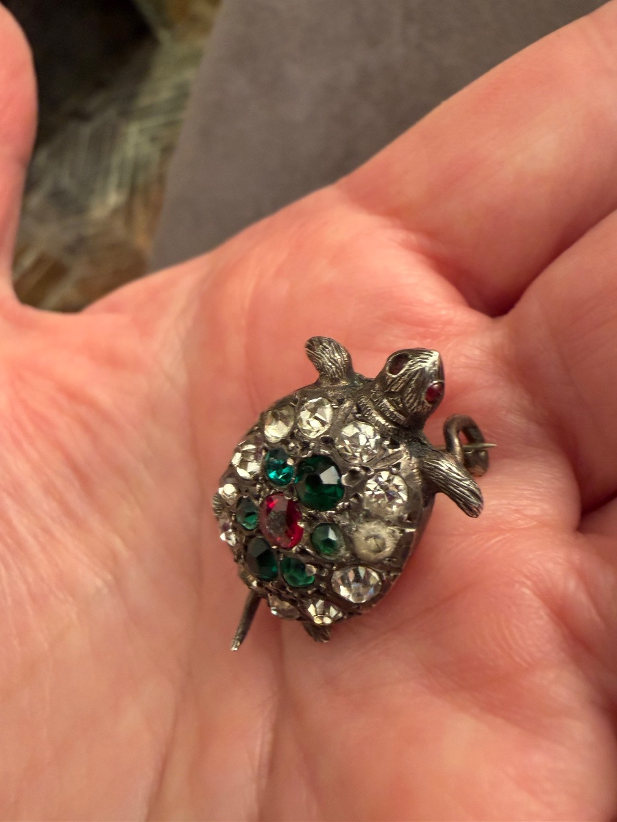 Tortue ancienne -photo-4