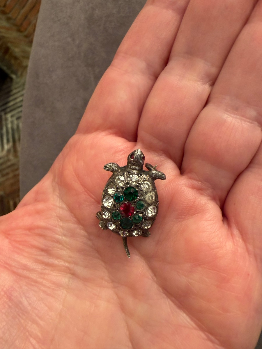 Tortue ancienne -photo-1