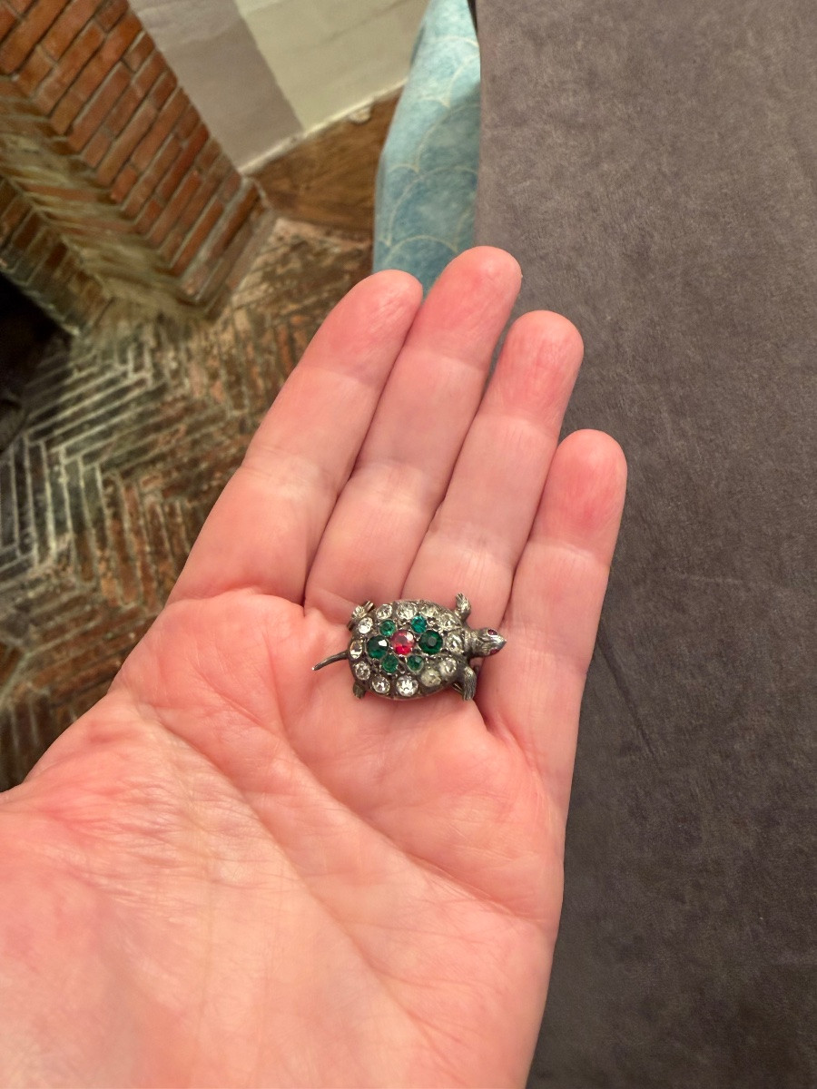 Tortue ancienne -photo-3