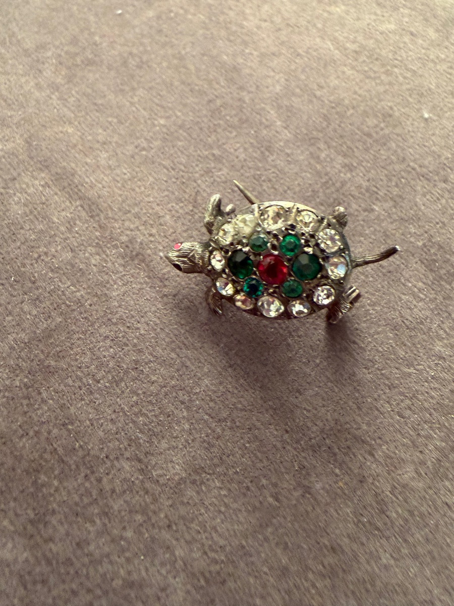 Tortue ancienne -photo-6