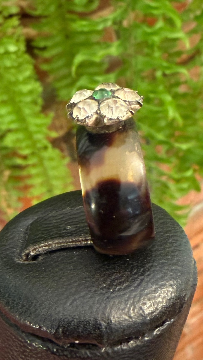 Tortoiseshell Ring, Flower-photo-4