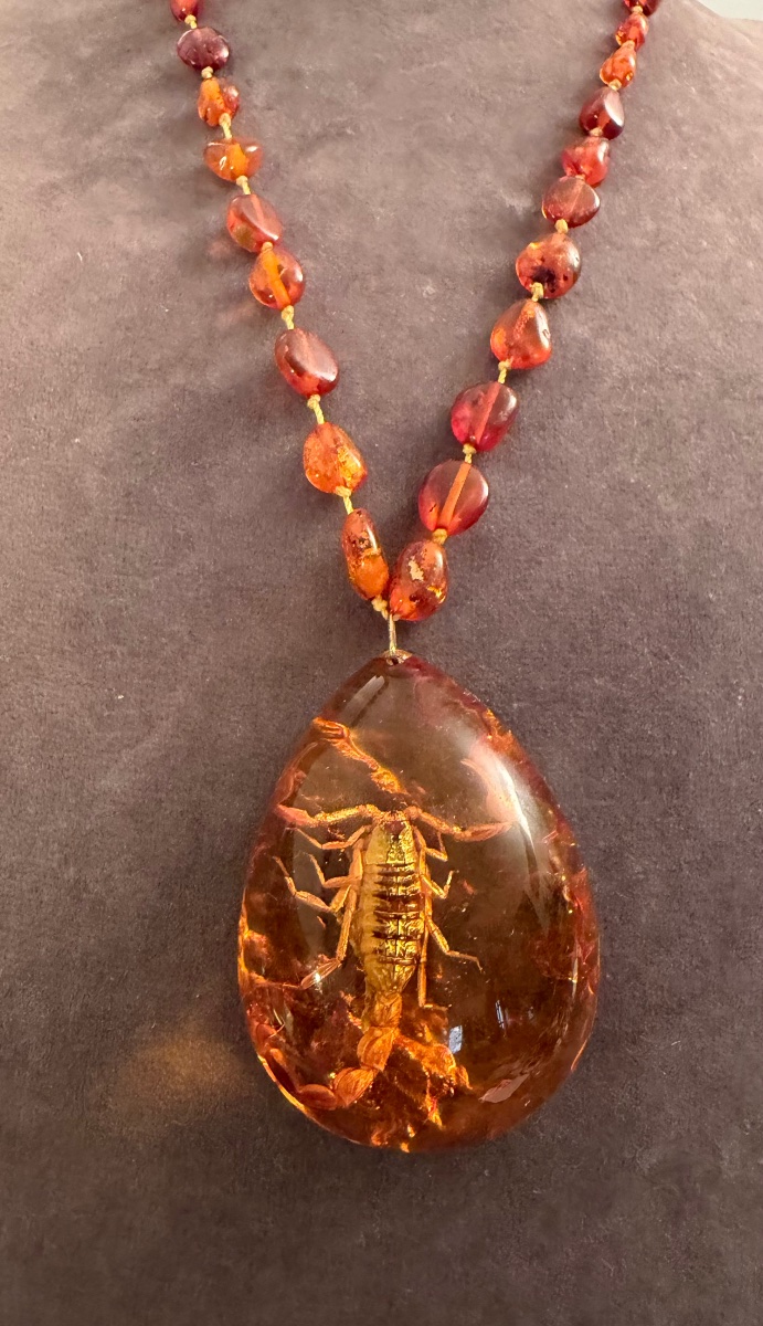 Collier ambre / insecte-photo-2