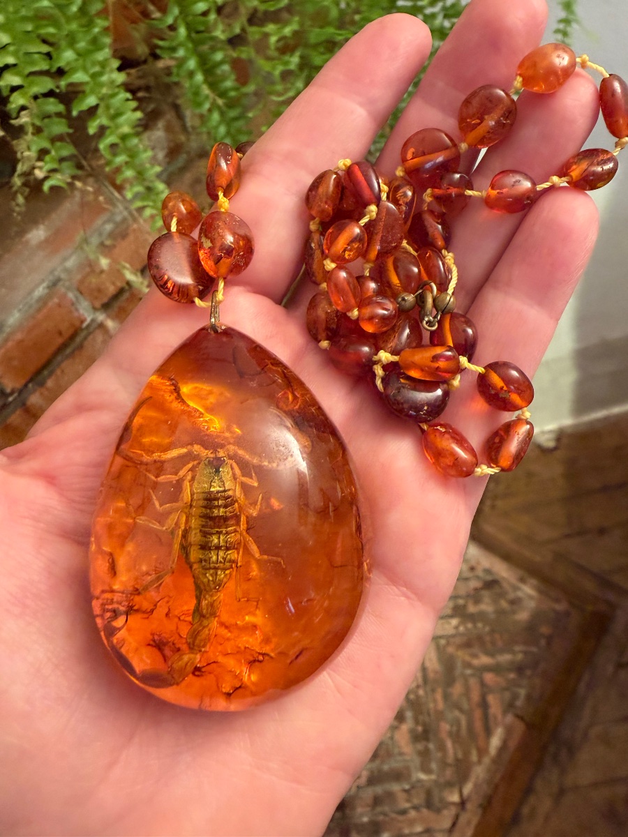Collier ambre / insecte-photo-4