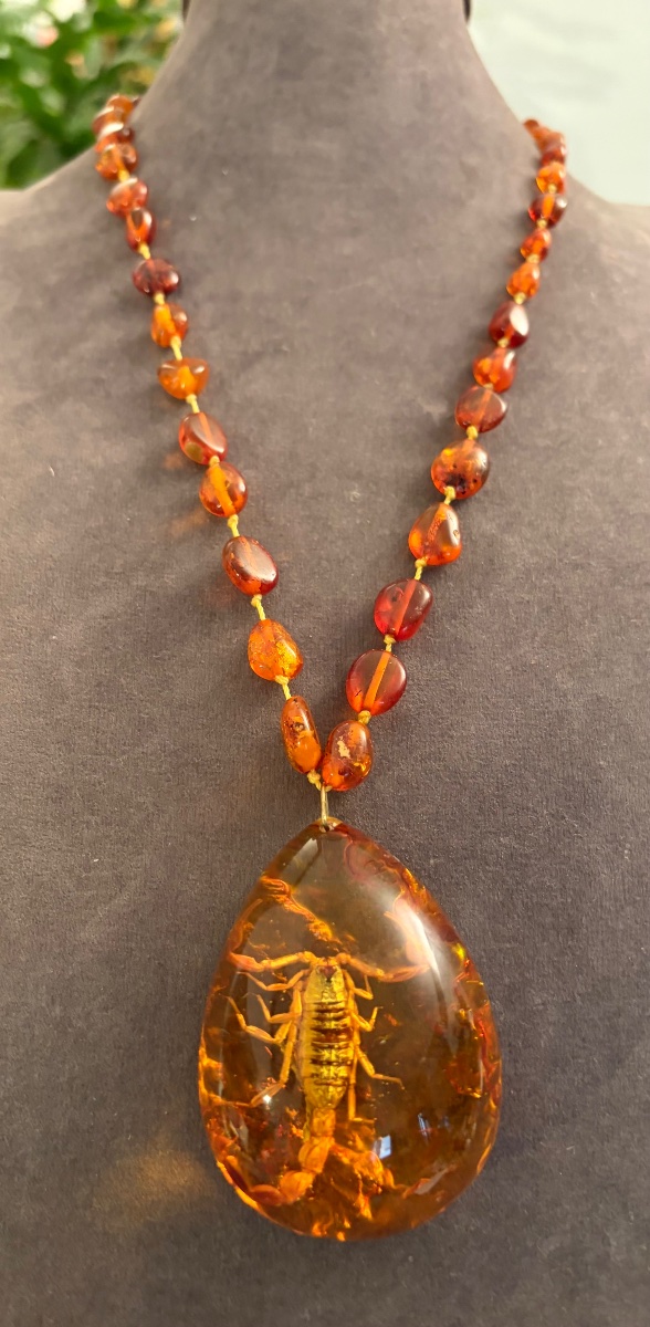 Collier ambre / insecte-photo-8