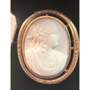 Shell Cameo /14k Gold