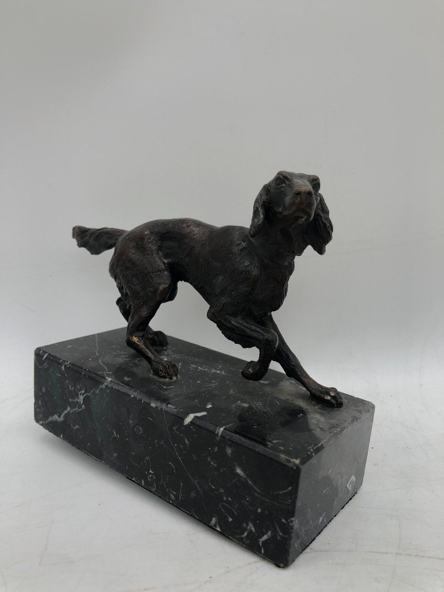 Intéressant Sculpture Bronze Retriever - France, Milieu XXème-photo-3