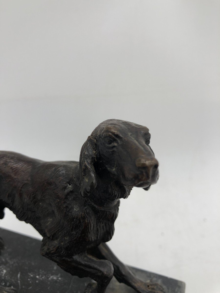 Intéressant Sculpture Bronze Retriever - France, Milieu XXème-photo-4