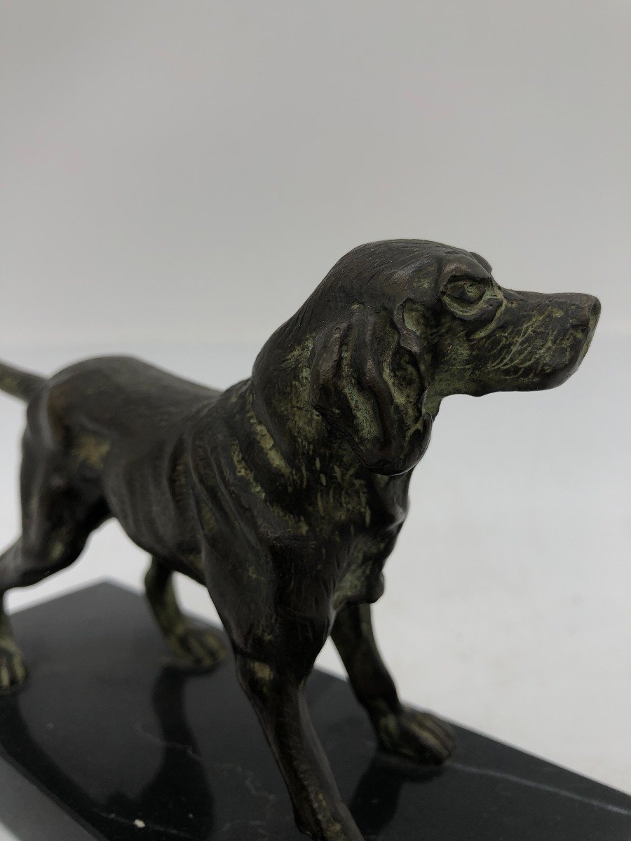 Elegant Retriever In Bronze - France, Mid-20th Century-photo-4