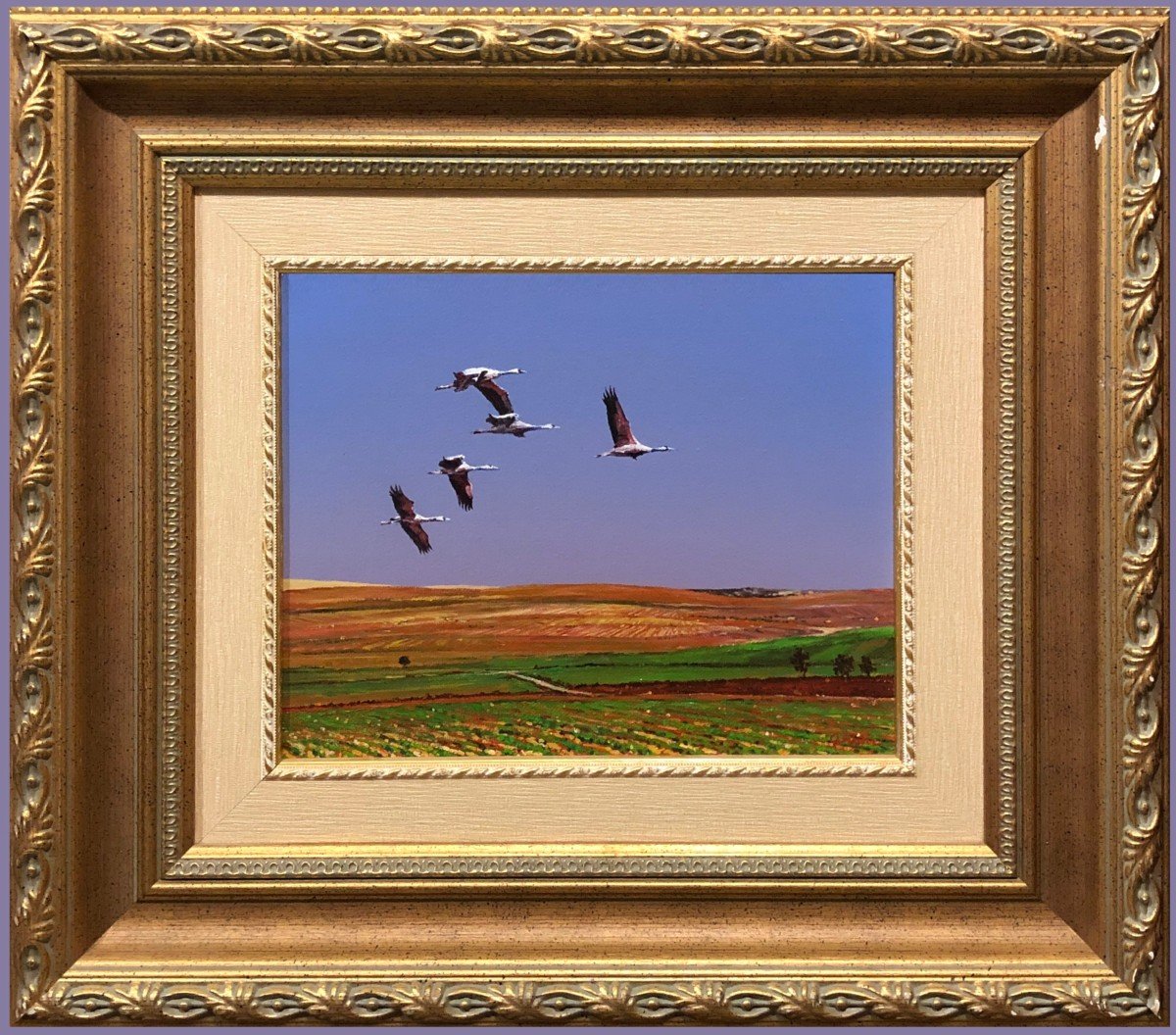 Spanish School (xx) - The Flight Of The Storks