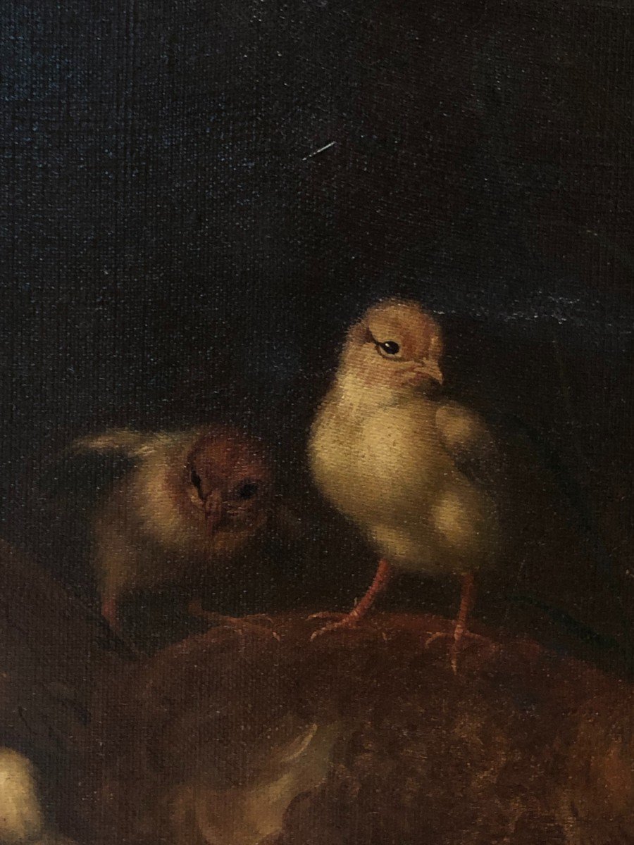 Spanish School (1840s) - Mother Hen -photo-2
