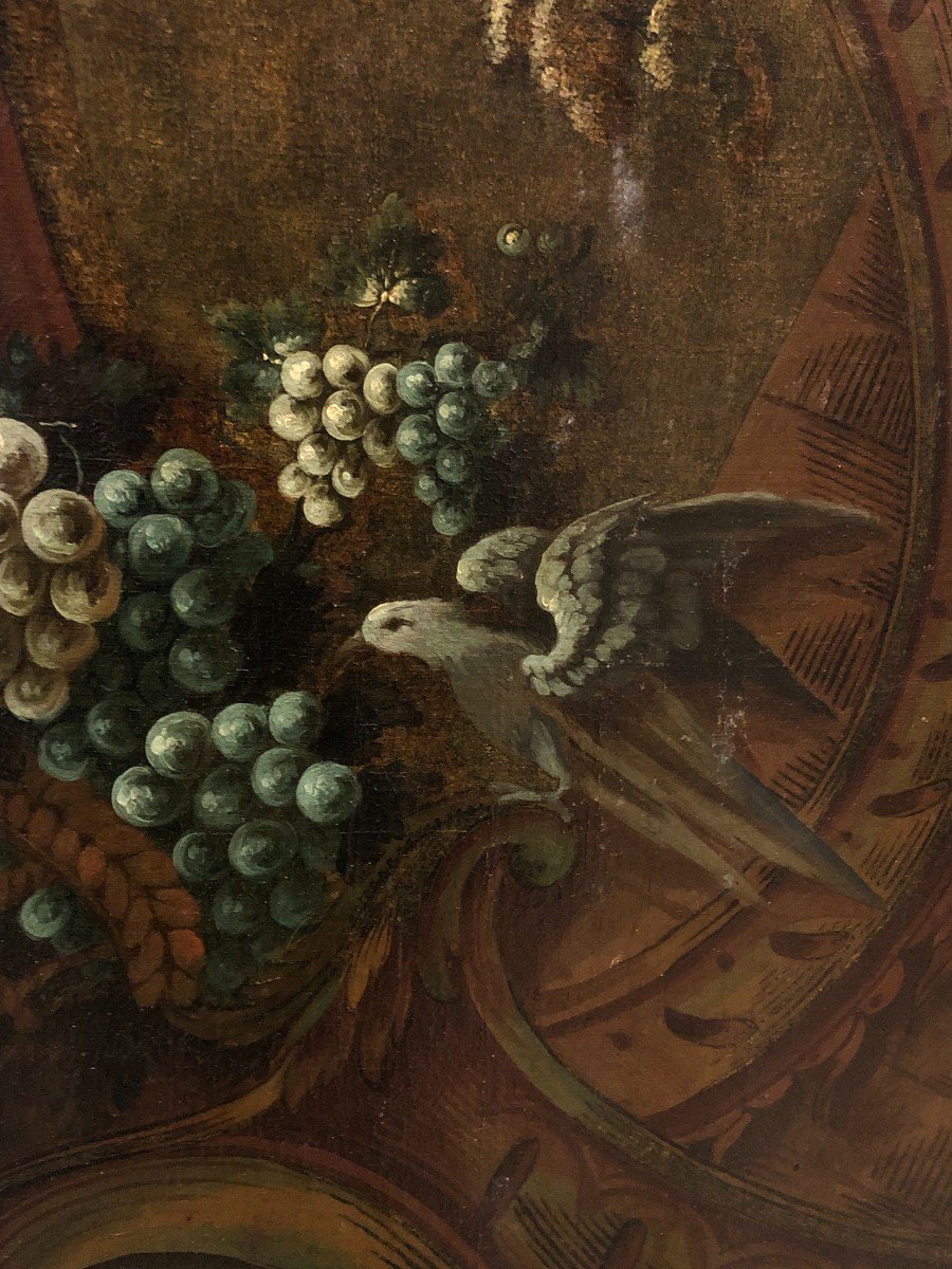 	 Rococo School (c. 1760) - The Thief Bird-photo-3