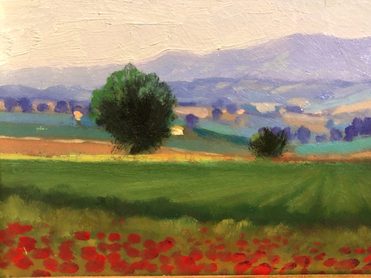 Giuliano Albergo (xx) - Marche Landscape: Mount San Vicino-photo-2