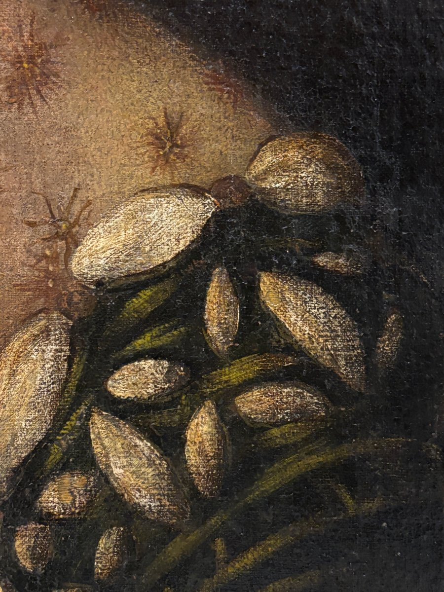 Tiziano Vecellio (1488-1576), Follower Of - La Veneziana-photo-5