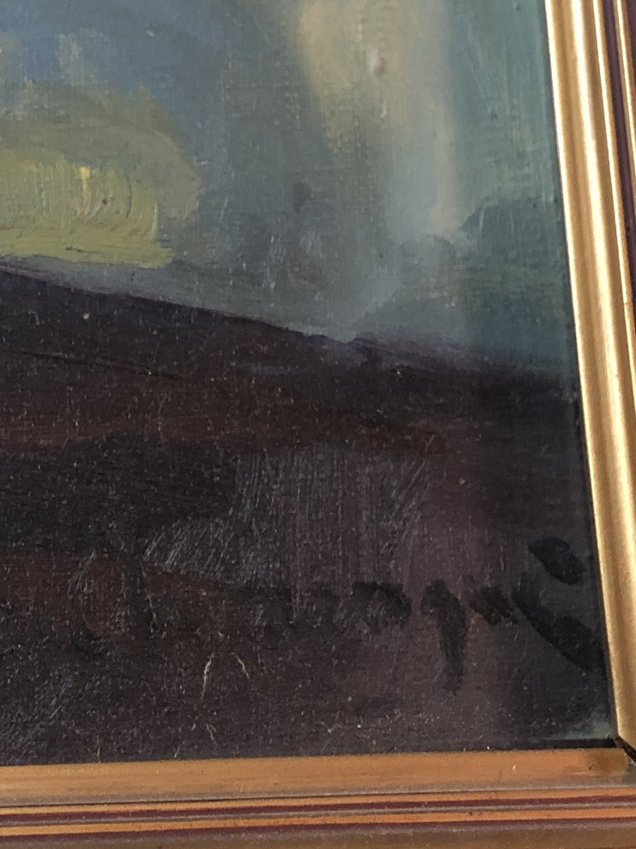  European School (xx) - The Flowers Of Patience-photo-3