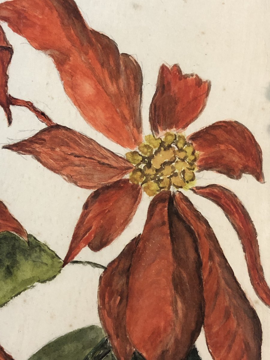 	European School (c. 1950) - The Miracle Of The Poinsettias-photo-3