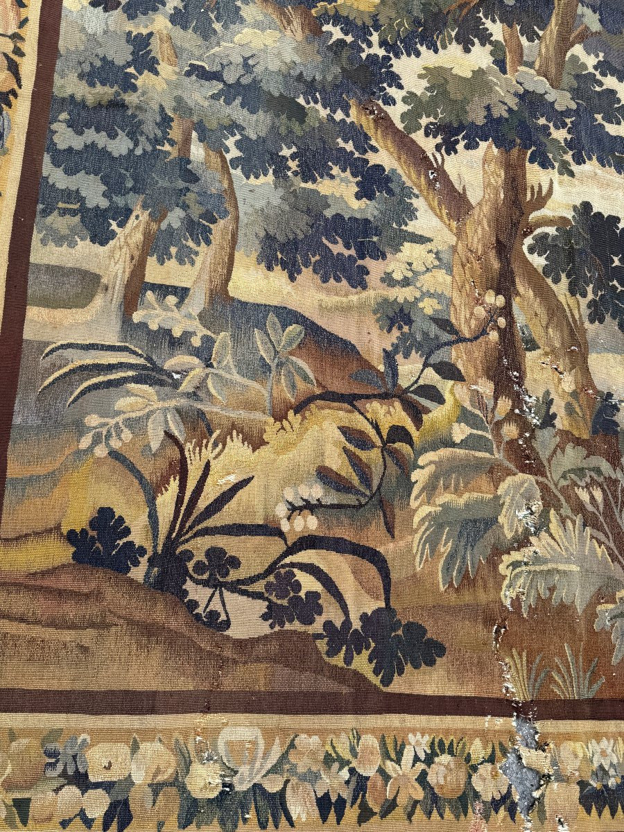 Magnificent Aubusson Tapestry C. 1760 The Elderflower-photo-2