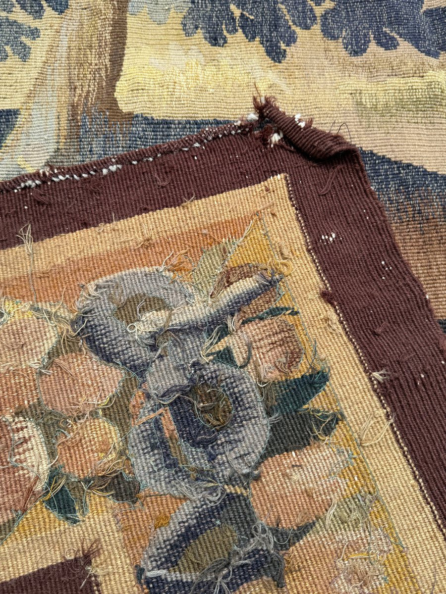Magnificent Aubusson Tapestry C. 1760 The Elderflower-photo-4