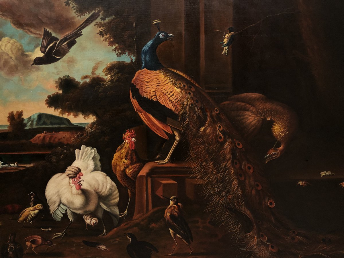 	 European School (c. 1950) - Grand Concert Of Birds (in The Style Of Melchior d'Hondecoeter)-photo-3
