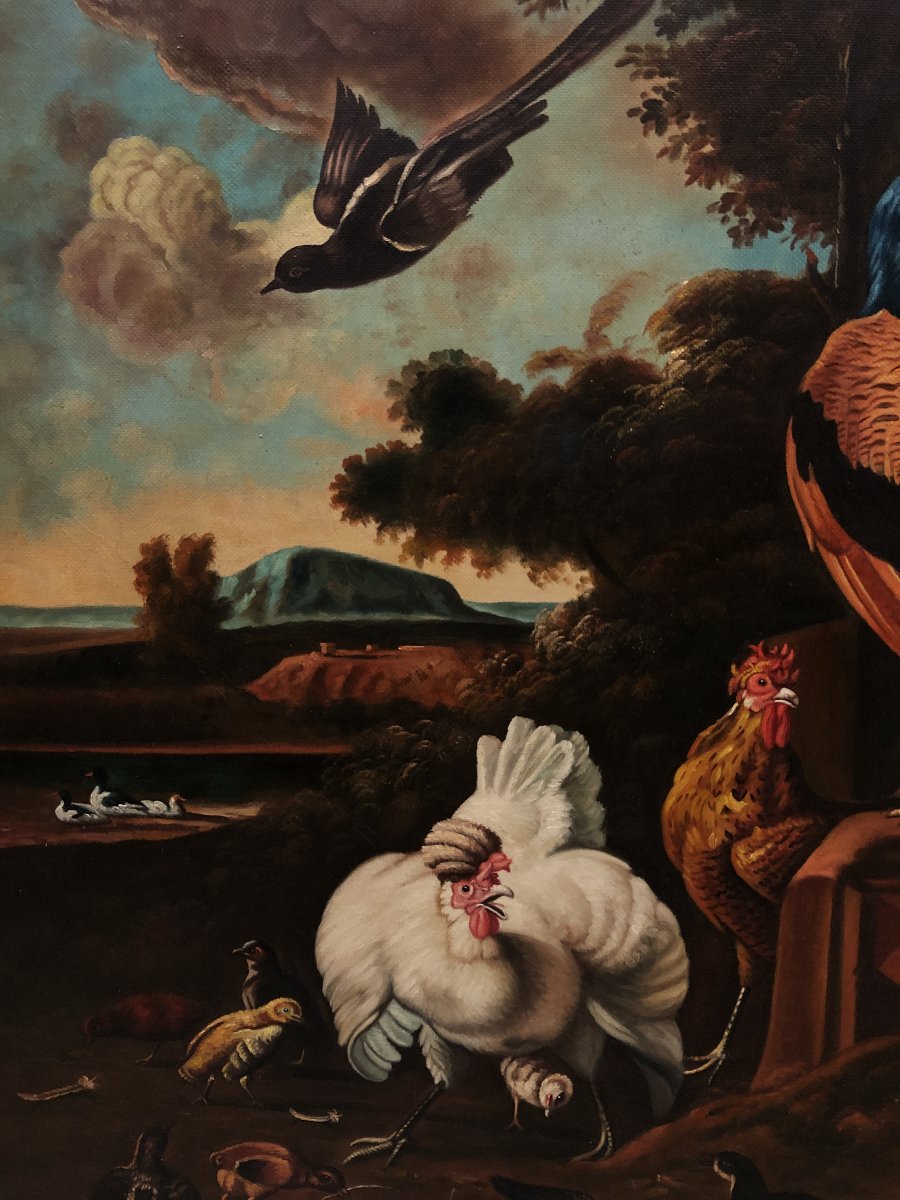 	 European School (c. 1950) - Grand Concert Of Birds (in The Style Of Melchior d'Hondecoeter)-photo-4