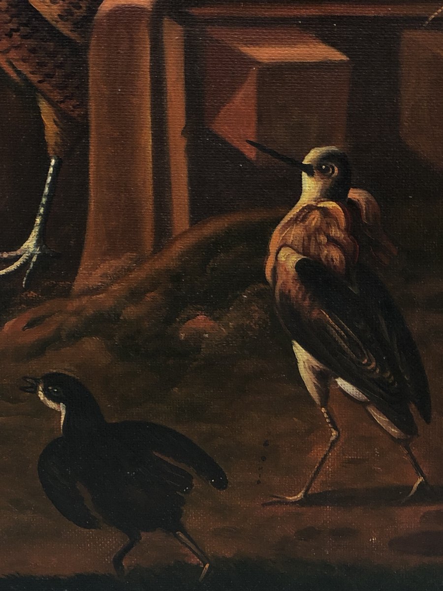	 European School (c. 1950) - Grand Concert Of Birds (in The Style Of Melchior d'Hondecoeter)-photo-2