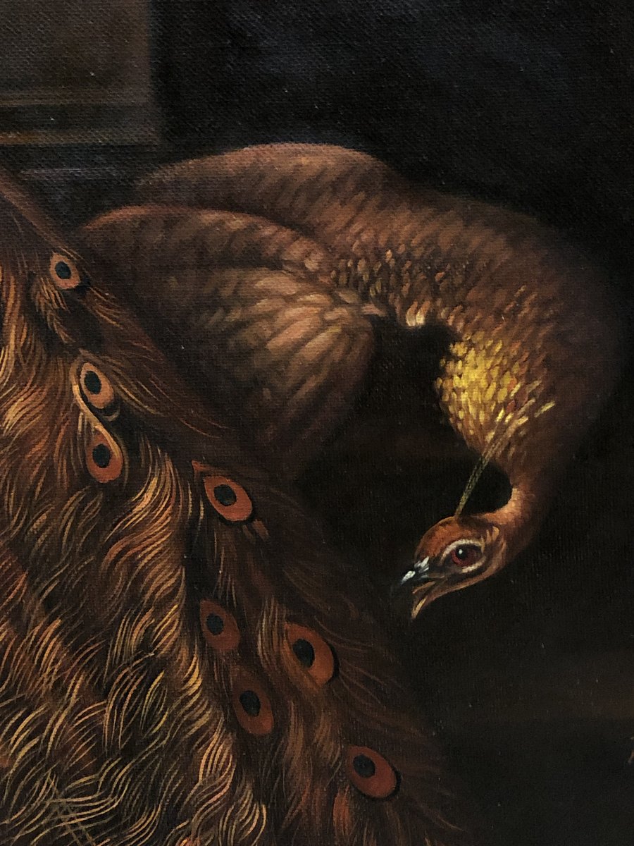 	 European School (c. 1950) - Grand Concert Of Birds (in The Style Of Melchior d'Hondecoeter)-photo-3