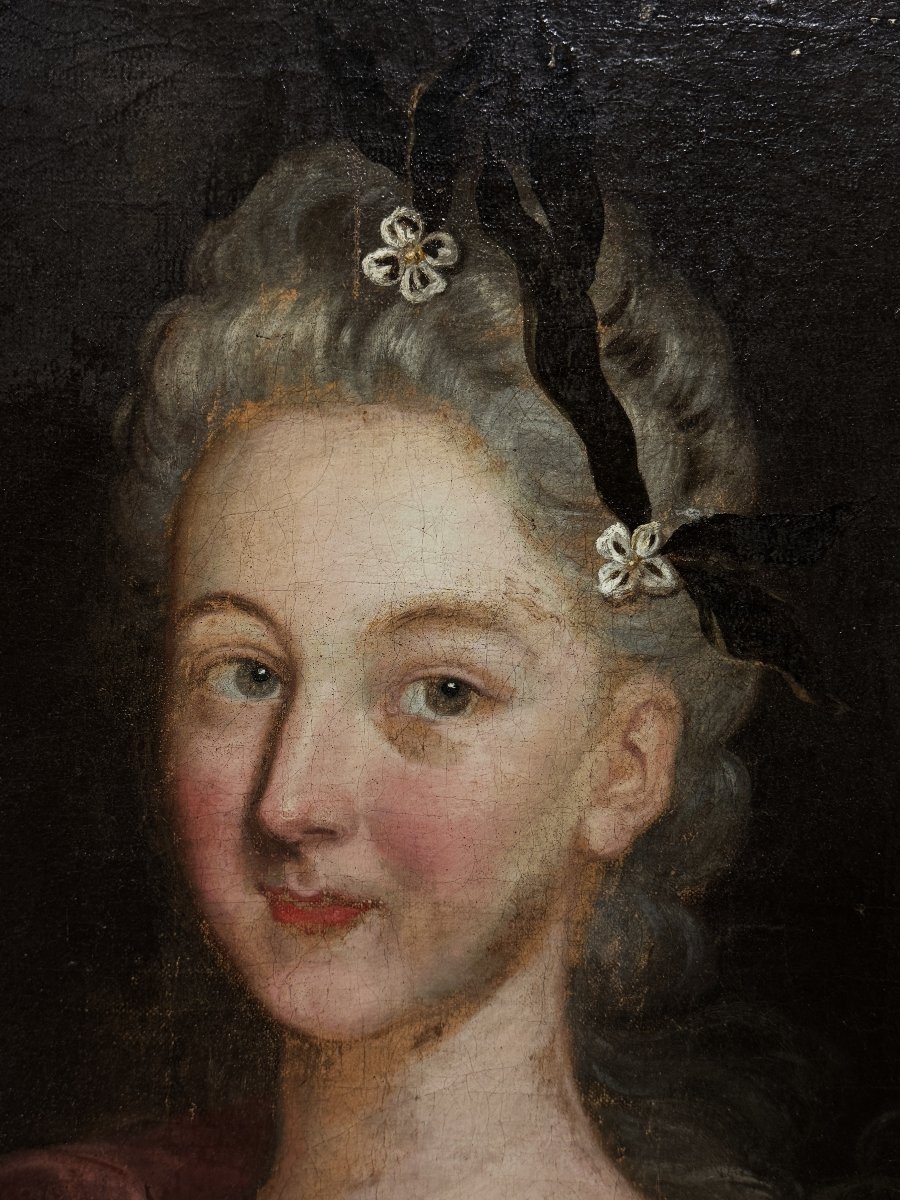 Nicolas Dupuy (1650-1711), att. à - Allégorie des Beaux-Arts, dédiée à Léopold , Duc de Lorrain-photo-4