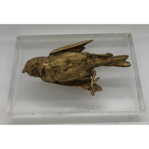 Magnificent Fallen Sparrow In Gilt Bronze (after Colomera) - France, Early 20th Century