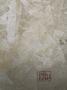 1624512-68dbe819eb433.jpg