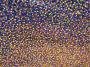 1750566-69f0c0ad586b1.jpg