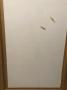 1813107-alb-6a9076dd08c43.jpg
