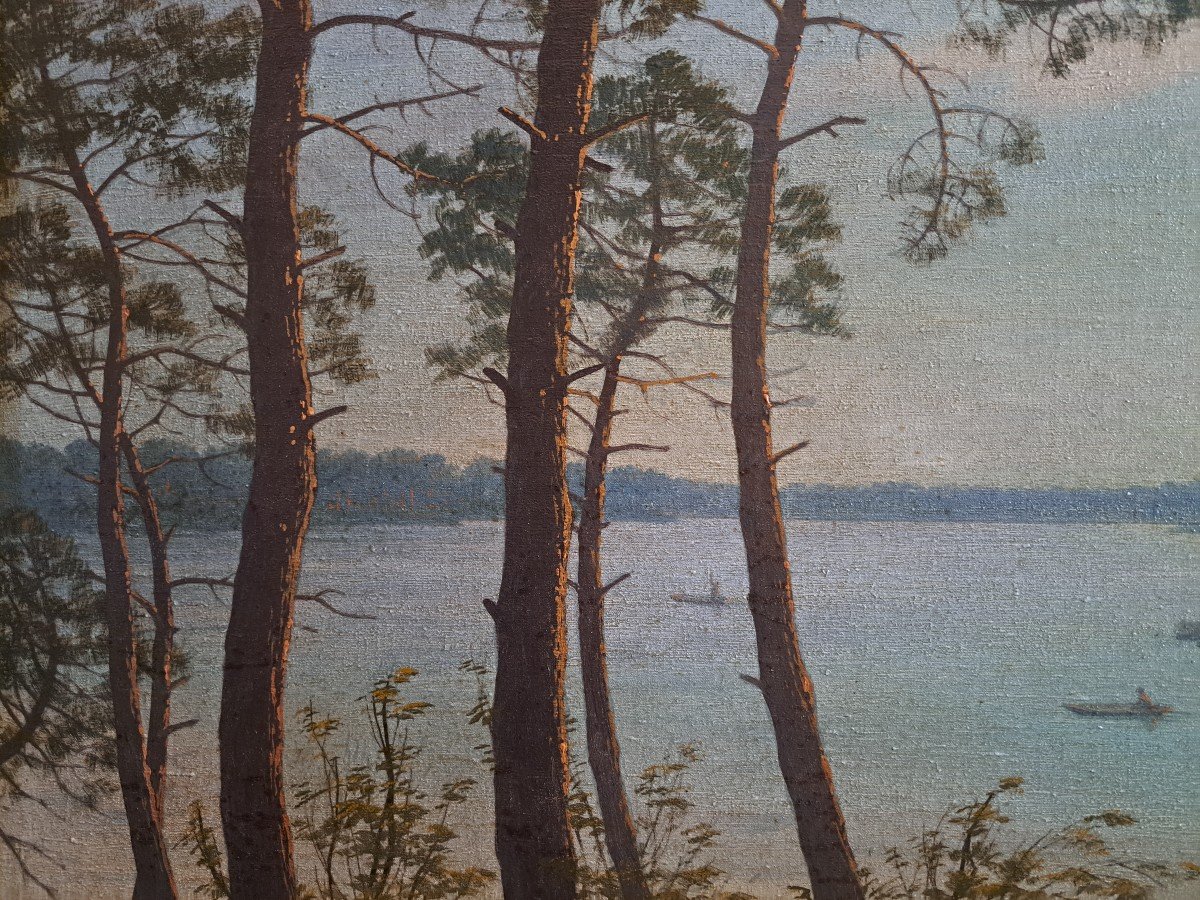 " Lac De La Côte Landaise" Par Henri Tayan -photo-2
