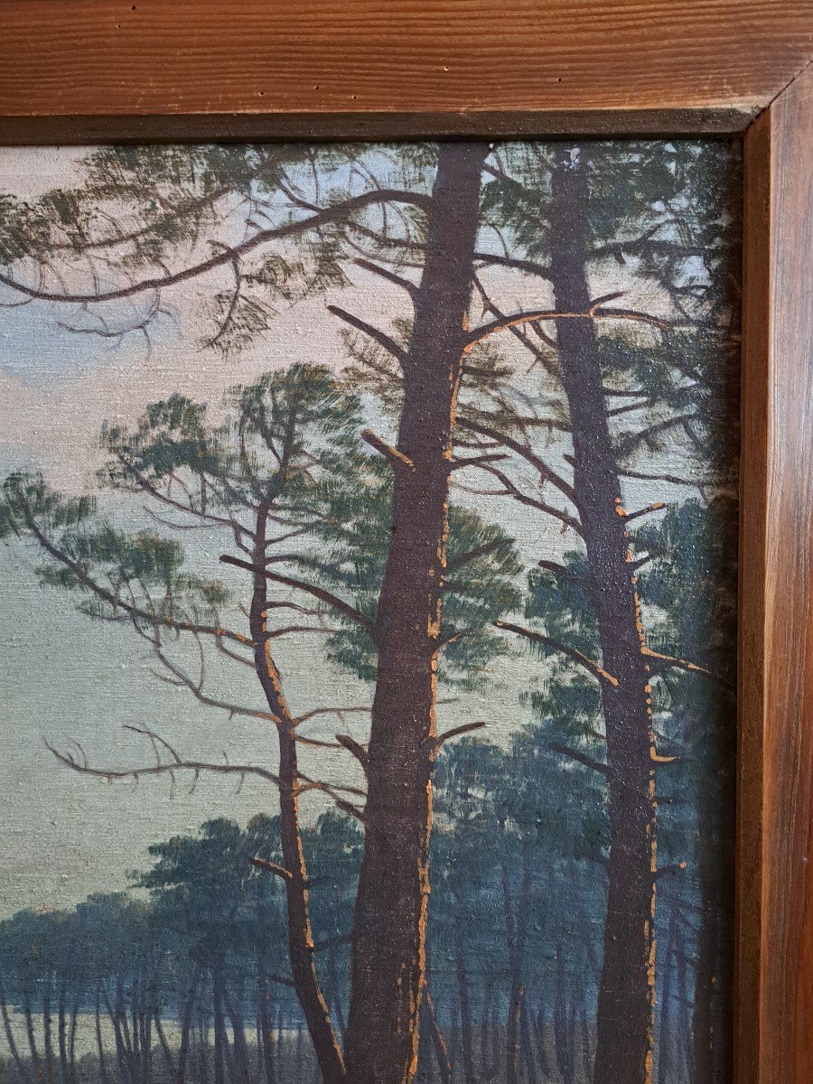 " Lac De La Côte Landaise" Par Henri Tayan -photo-3