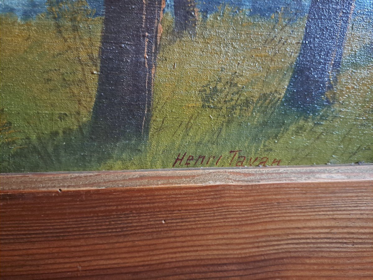 " Lac De La Côte Landaise" Par Henri Tayan -photo-4
