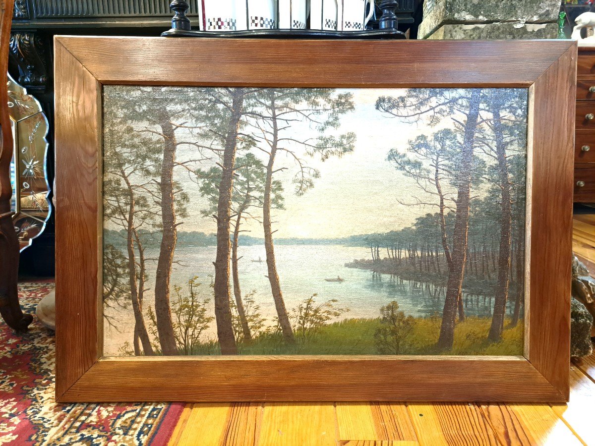 " Lac De La Côte Landaise" Par Henri Tayan -photo-1