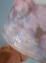 1830462-6abe296e0bc9f.jpg