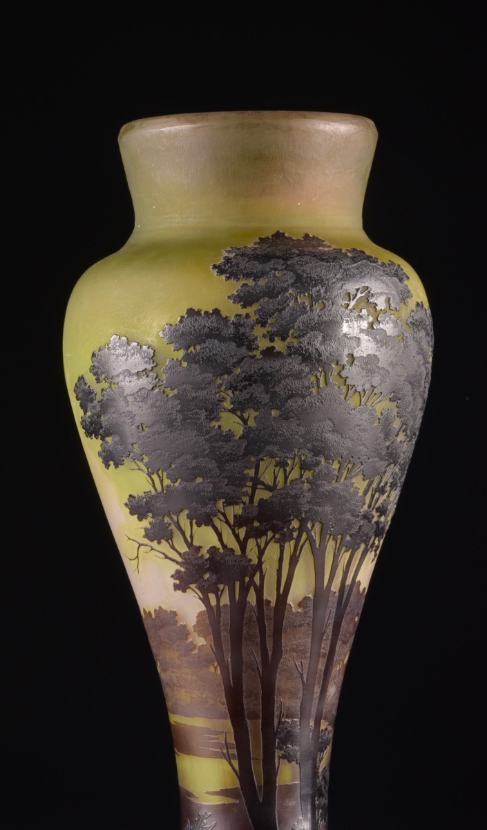 Émile GALLÉ (1846-1904), large Art Nouveau vase-photo-5