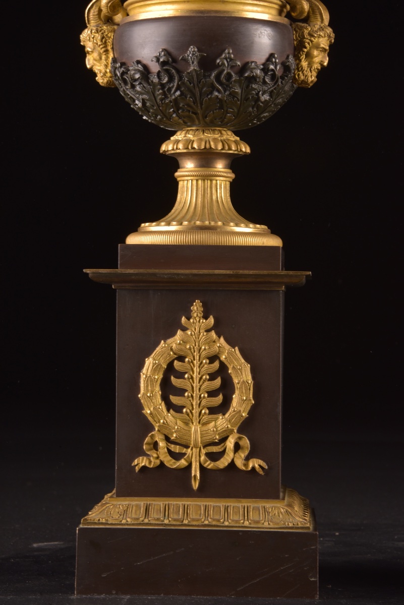 Paire de vases Médicis en bronze patiné et bronze doré-photo-1
