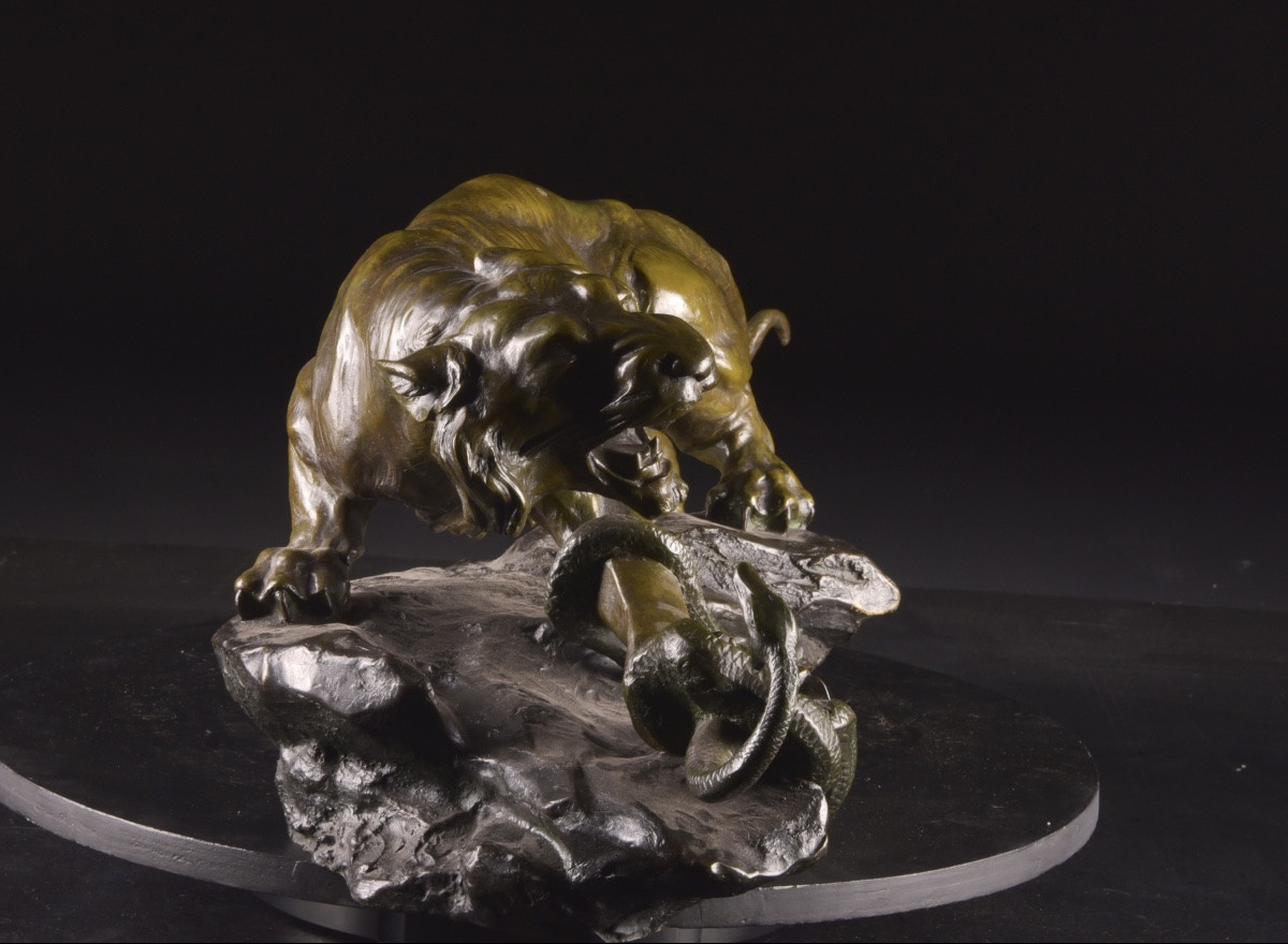 Antonio Amorgasti (1880–1952) Tiger Fighting With Snake, 1921-photo-7