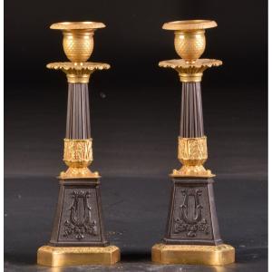 Elegant Pair Of Bronze Patinated And Ormolu Candlesticks