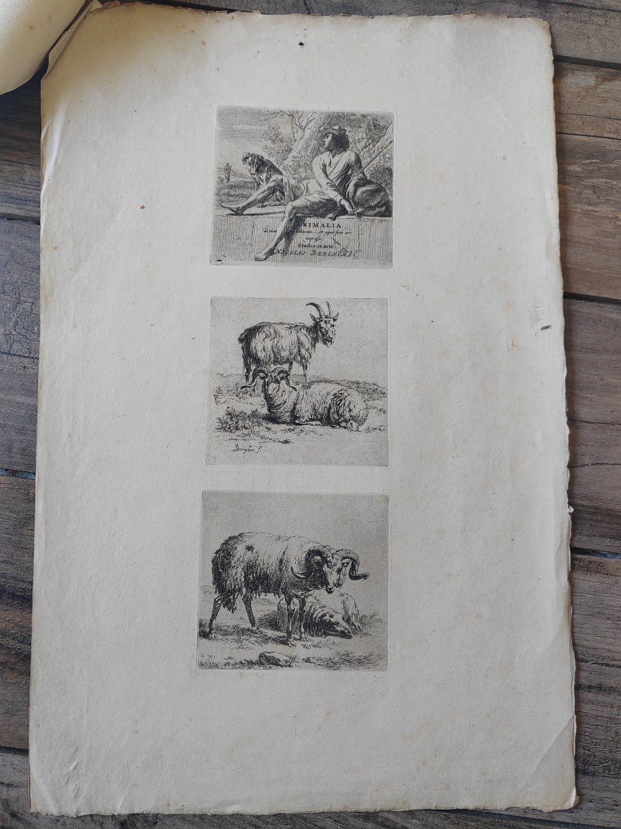 Nicolaes Berchem (1620-1683) Animalia 28 eaux fortes 17 ème -photo-3