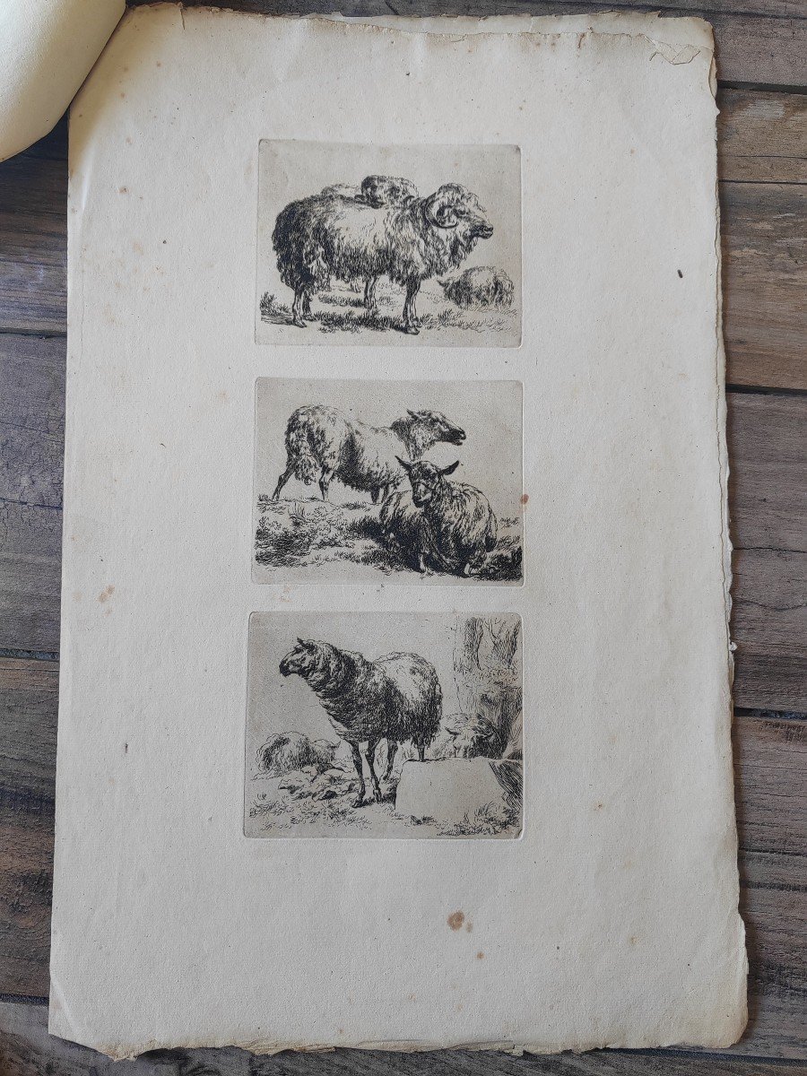 Nicolaes Berchem (1620-1683) Animalia 28 eaux fortes 17 ème -photo-4