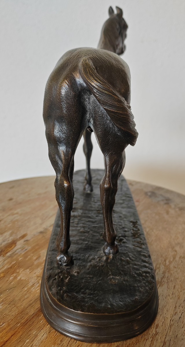 Pierre Jules Leads The Racehorse Bronze 19th -photo-4