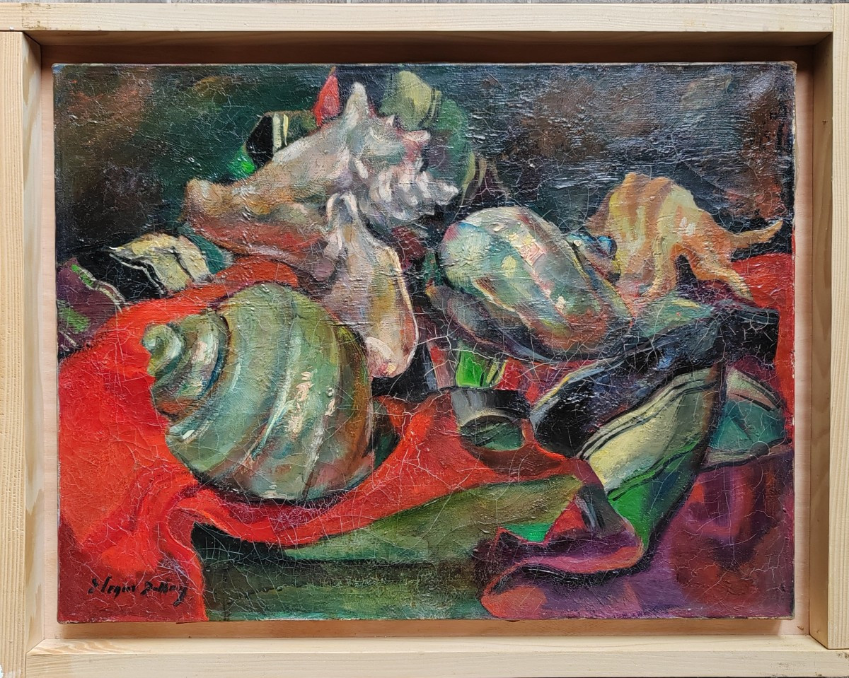 Coquillages Emma Segur Dalloni Nice 