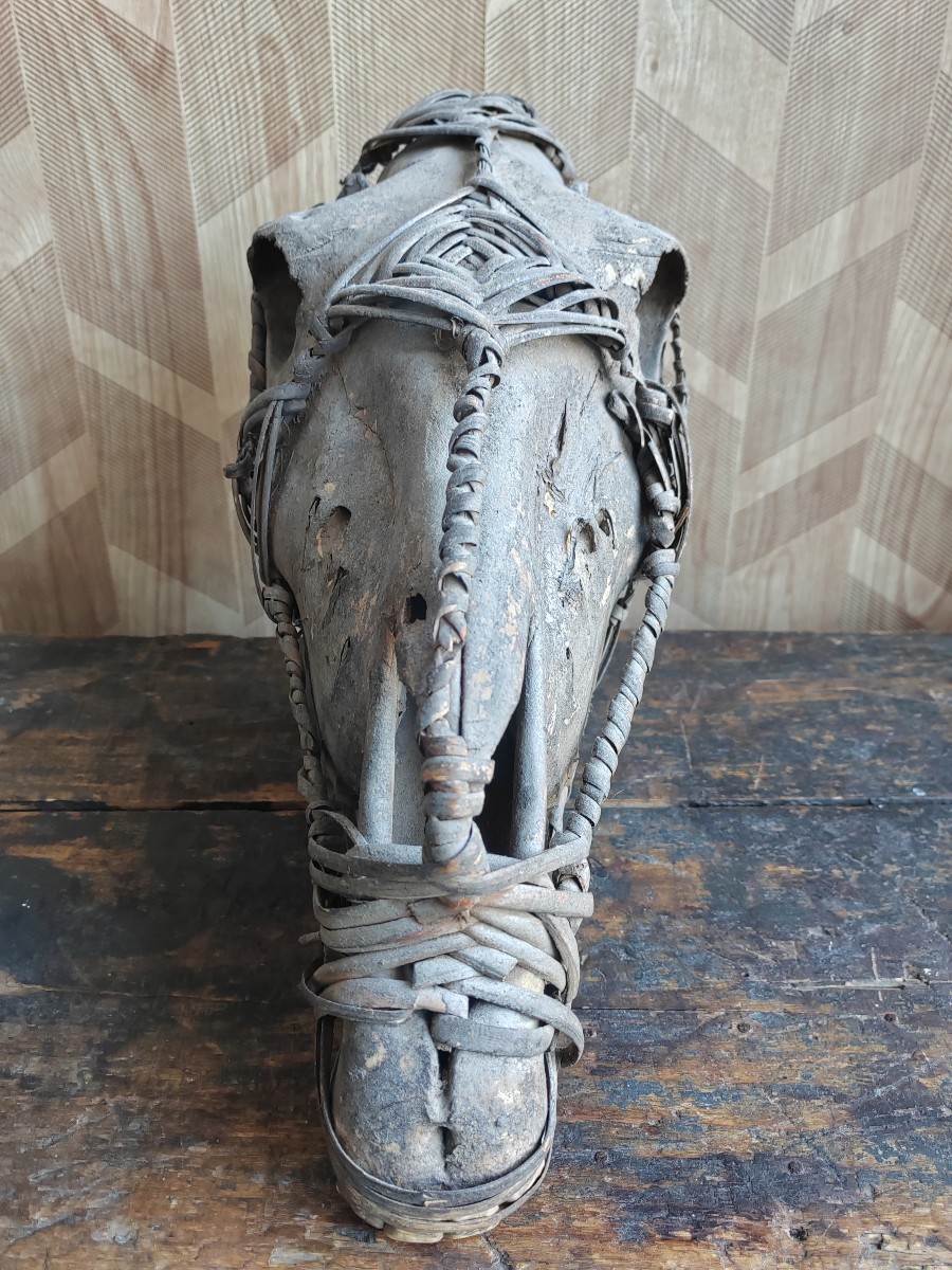 Guardian Horse Skull With Wicker Halter Congo Collection Gérard Tiry -photo-2
