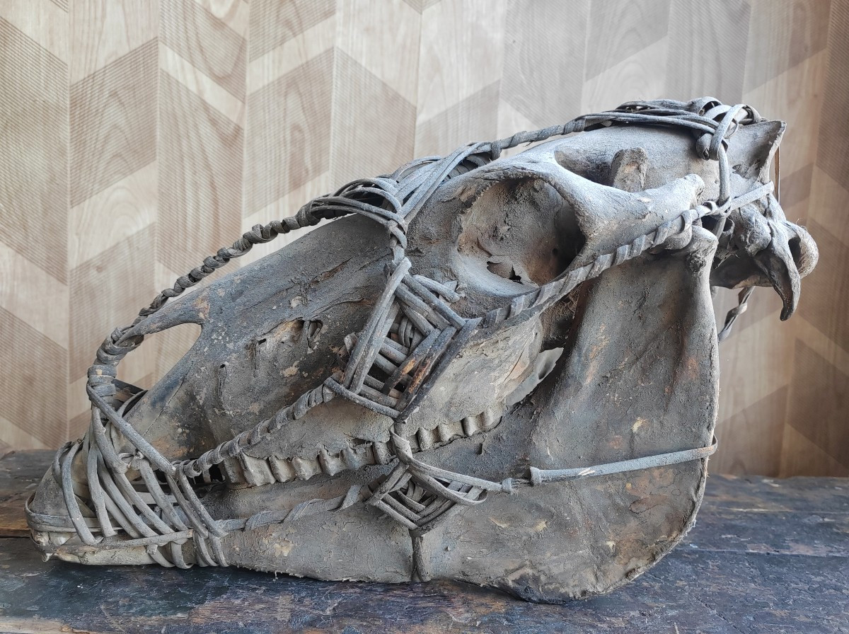 Guardian Horse Skull With Wicker Halter Congo Collection Gérard Tiry 