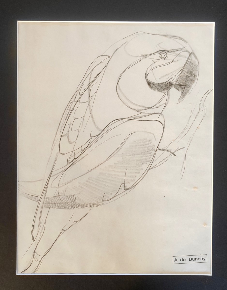 Albin De Buncey The Parrot Jouve Sandoz Art Deco Animal Drawing