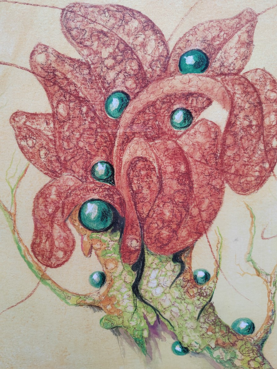Étude de plante carnivore pastel de Jean Claude L'Ernout (1939-2016) 